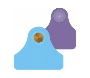 Plain Goat & Sheep Tags