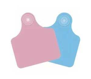 Plain Cattle Tags